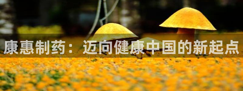 九游会老哥俱乐部社区论坛：康惠制药：迈向健康中国的新起点