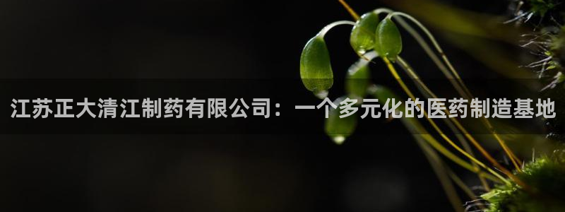 老哥吧九游会：江苏正大清江制药有限公司：一个多元化的医药制造基地