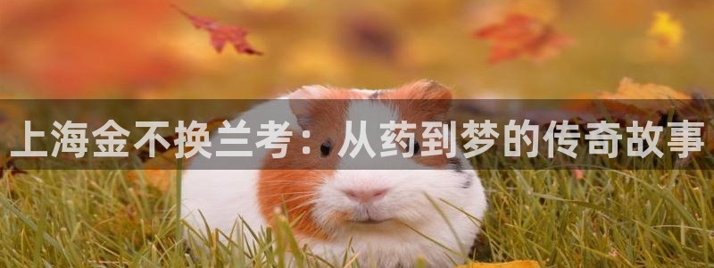 9游会老哥：上海金不换兰考：从药到梦的传奇故事