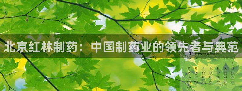 九游会老哥俱乐部官网：北京红林制药：中国制药业的领先者与典范