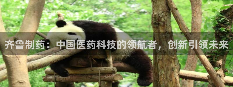 ag九游会老哥：齐鲁制药：中国医药科技的领航者，创新引领未来