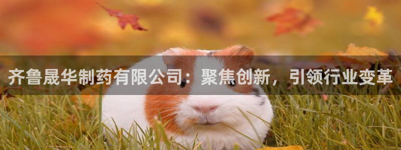 ag九游老哥俱乐部：齐鲁晟华制药有限公司：聚焦创新，引领行业变革