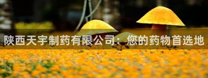 老哥俱乐部是干什么的啊：陕西天宇制药有限公司：您的药物首选地