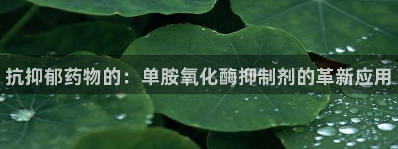 九游会老哥俱乐部交流社区：抗抑郁药物的：单胺氧化酶抑制剂的革新应用