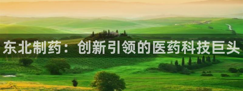 九游会老哥俱乐部官网首页：东北制药：创新引领的医药科技巨头