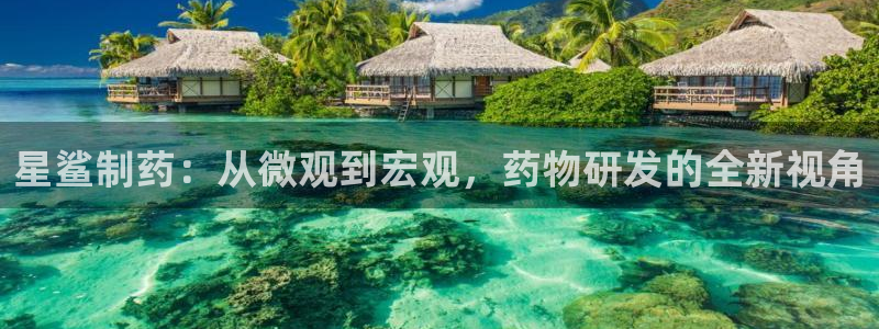 老哥俱乐部是干什么的啊：星鲨制药：从微观到宏观，药物研发的全新视角