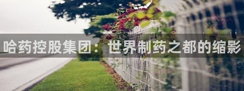 九游会老哥俱乐部官网首页：哈药控股集团：世界制药之都的缩影