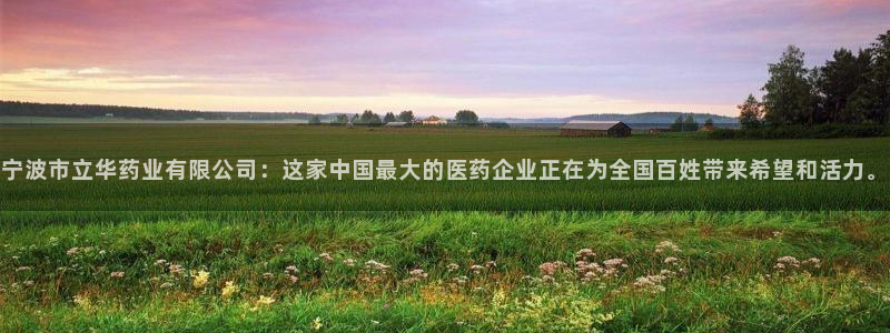 九游老哥俱乐部官网登录入口：宁波市立华药业有限公司：这家中国